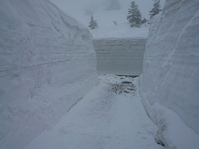高い雪の壁