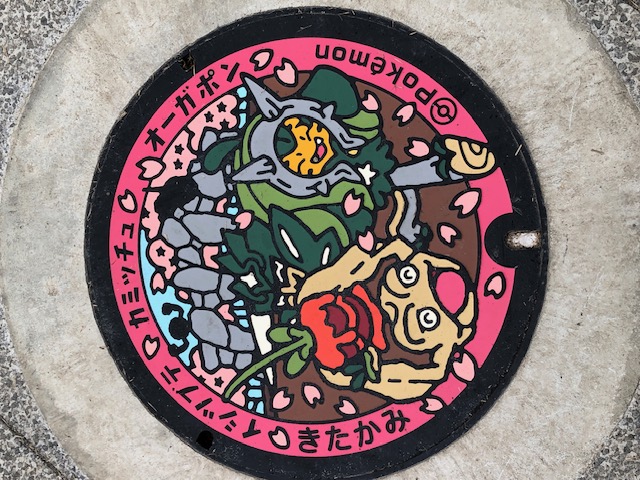 こんなマンホールが こんなマンホールが